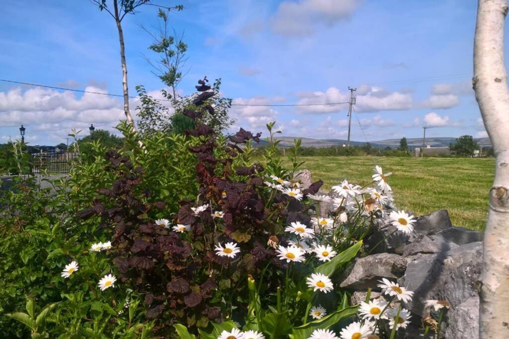Tubber The Burren Art Gallery Built In 1798ヴィラ エクステリア 写真