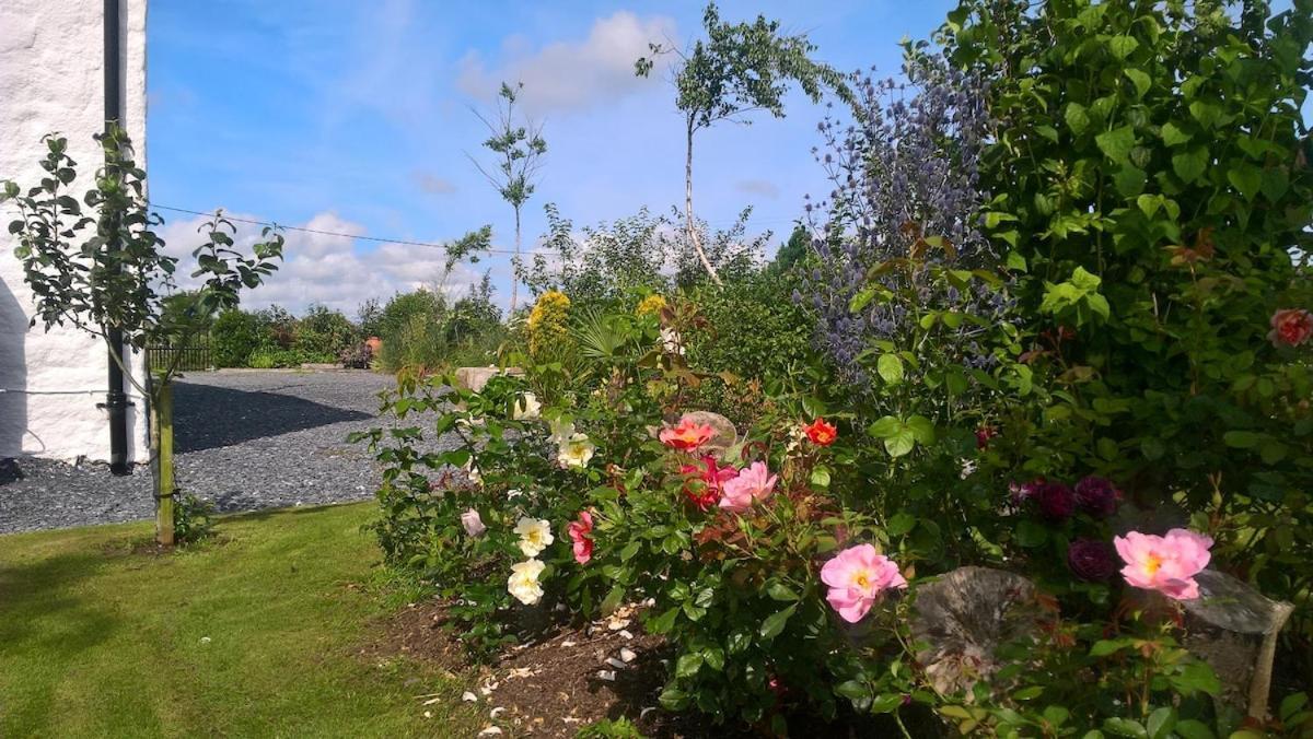 Tubber The Burren Art Gallery Built In 1798ヴィラ エクステリア 写真